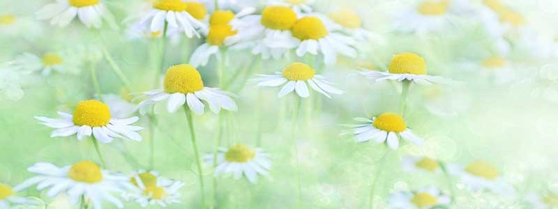 Gb`łlConTCgadrsT(^O^)0001